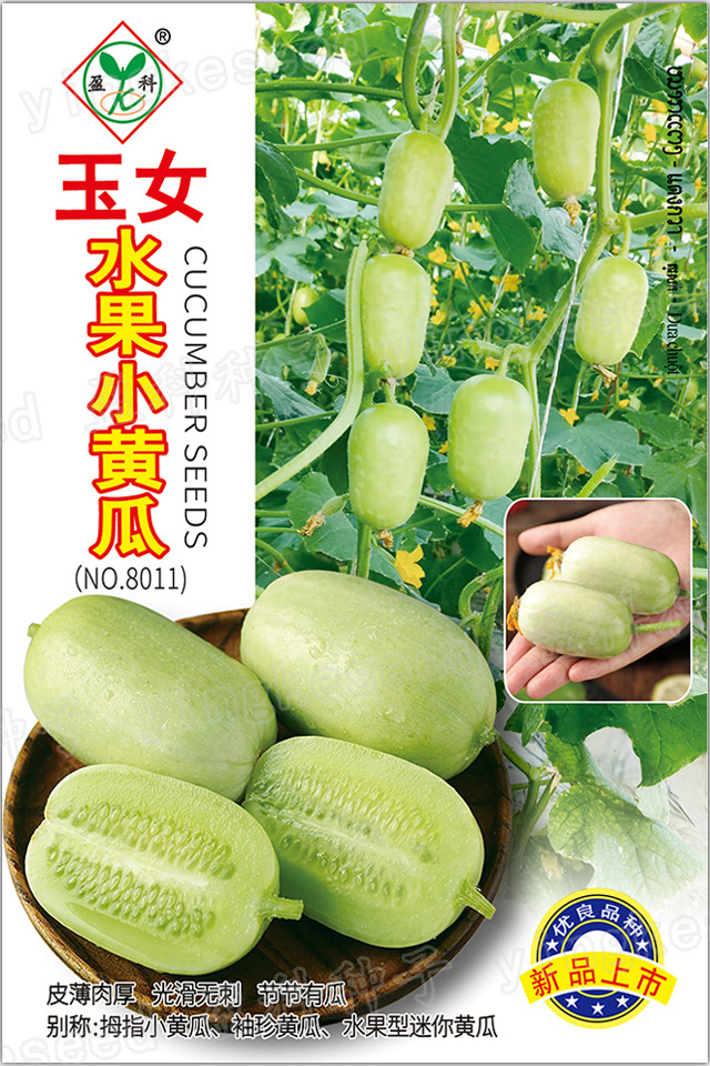 玉女黄瓜 (1)一一一一