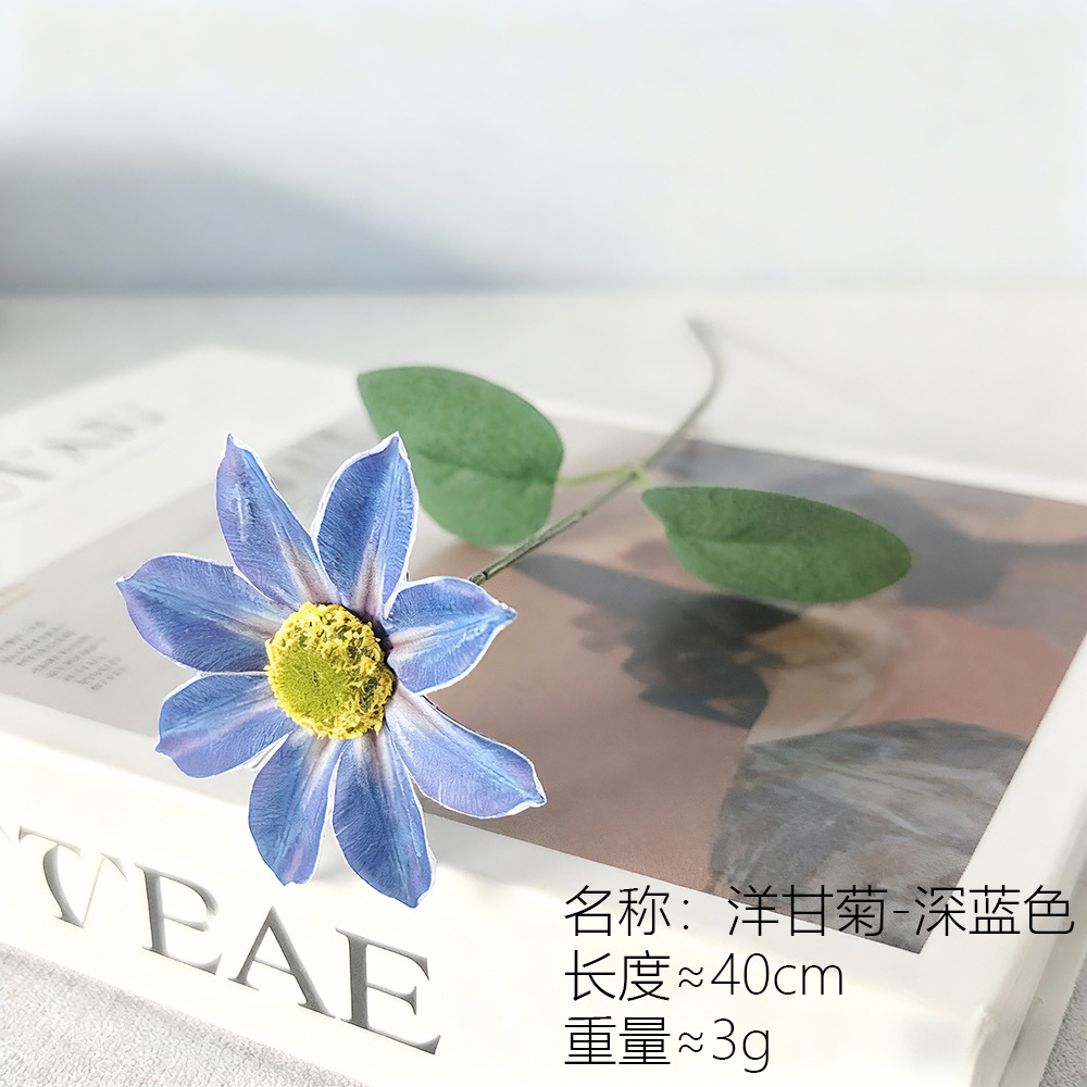 Chamomile azul oscuro