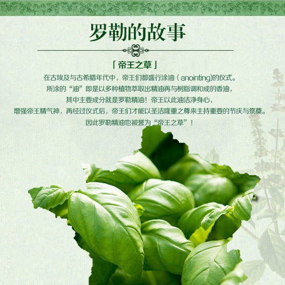 ���������� ����ȫ����ȡ   �������