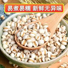 �F��С޲�������d�������r���Ԯa޲������؛�oùζ��t����С��