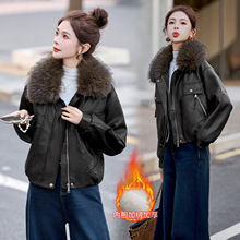 2025�¿��ȫƤƤ��Ů�̿��ﶬ���ӽq�n����|�C܇����A������