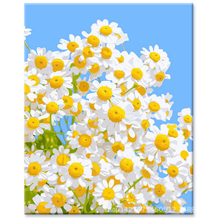 ��ˇ���ƏS�����l�¿�diy�����ͮ� �羳�r�����L���s��ɫ���Ͳʮ�