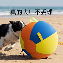 �Ӵ���ͳ�����������������ë���������ҧ����Ź��������