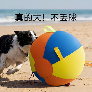 �Ӵ���͌������������߅����ë���������ҧ����̖����␞��