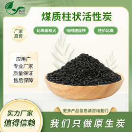 韩研煤质柱状活性炭无烟煤工业木炭废气处理CTC100净化净化空气