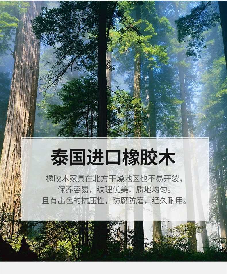 北欧简约全实木餐桌现代小户型餐厅餐桌椅组合饭桌桌子_05.j