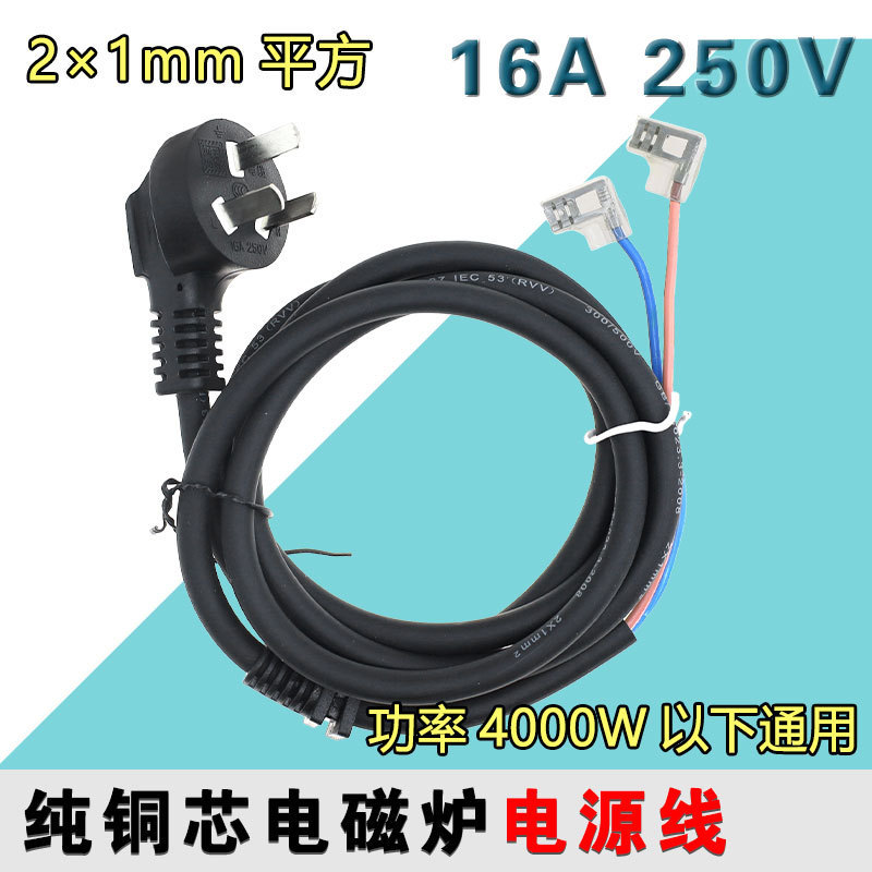 Pure Copper Original Induction Cooker Power Cord 4000W High Power 16A Universal Connection Cable Two-Core Wire for Induction Cooker Pure Copper Original Induction Cooker Power Cord 4000W High Power 16A Universal Connection Cable Two-Core Wire for Induction Cooker