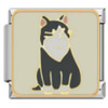 2558-검은 고양이 기사