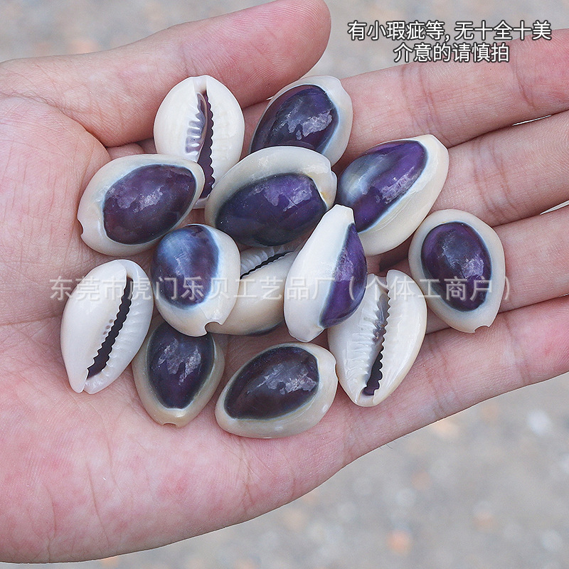 Concha Daquan natural con cera de pescado, materiales decorativos mediterráneos DIY al por mayor