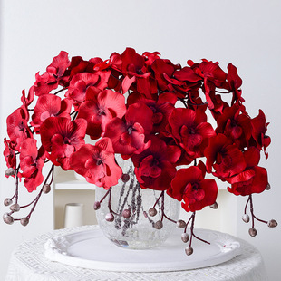 ��֧���潁���ָк����m���滨�m�� �Wʽ�Ҿӻ�c�bٻ������l