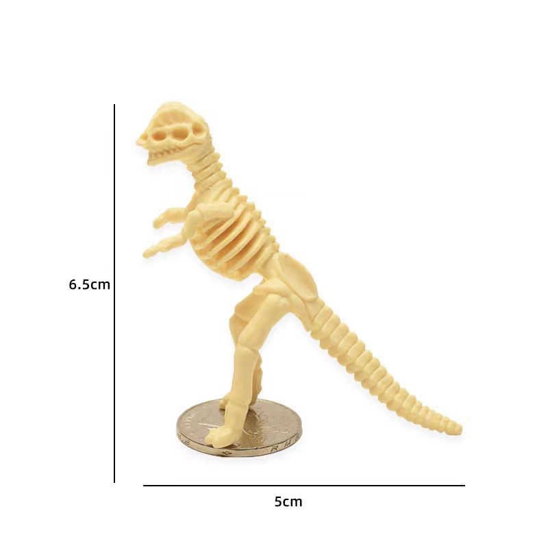 Amazon cross-border archaeological excavation dinosaur skeleton children's toy 12 dinosaur bone model simulation skeleton
