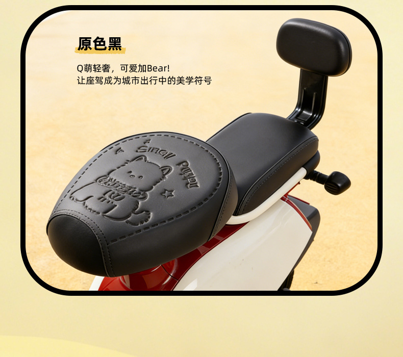 Simple Style Electric Vehicle Seat Cover, Waterproof and Sun-Proof, Suitable for Small Electric Bikes, Compatible with Yadea, Tailg, and Aima