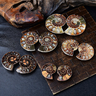 �羳���N��Ȼ�߲��ݻ�ʯ�~��ʯ�ݻ�ʯ�^������|���ս̌W�˱��[��