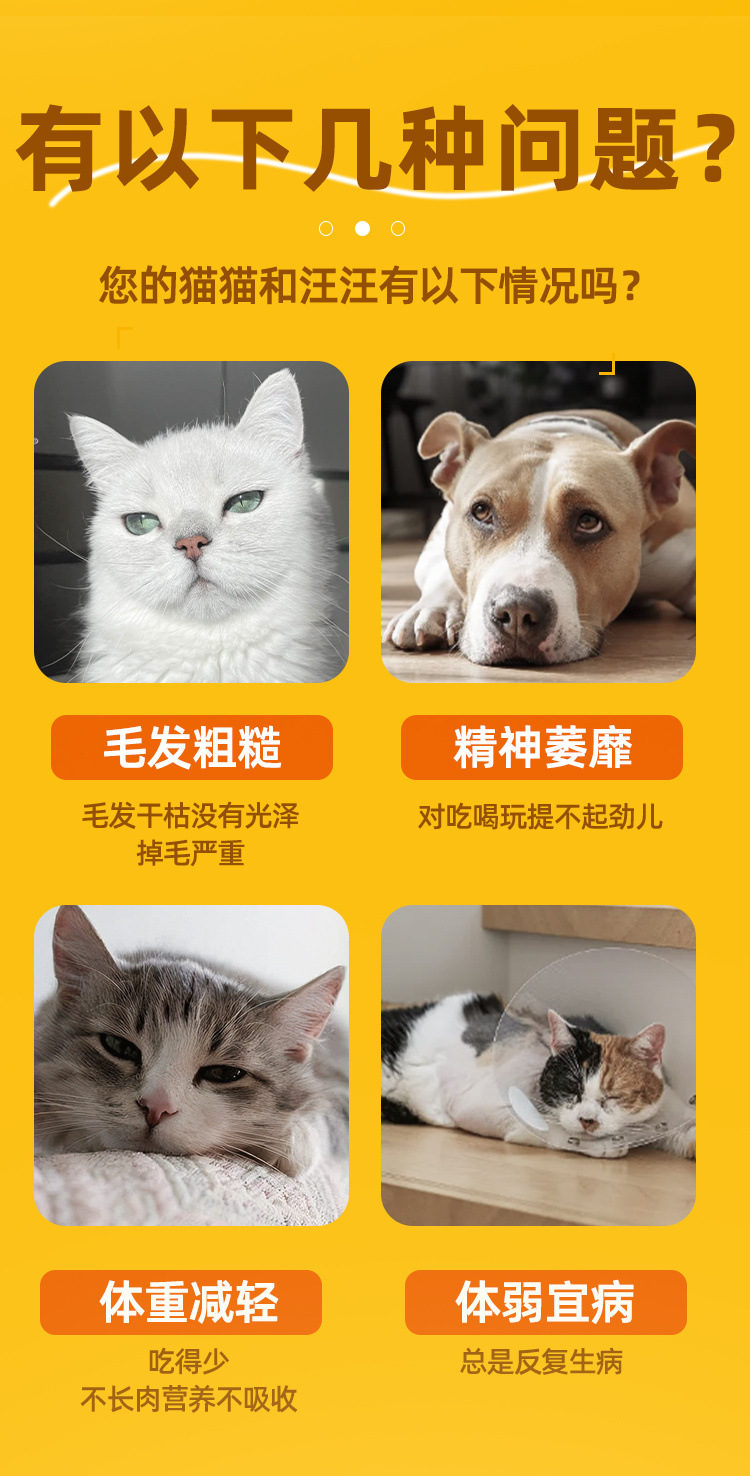 2e54134c-432a-4ef7-be4d-2c59cc99d5e1.jpe