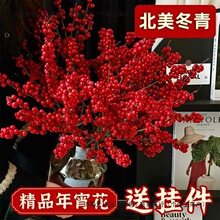 ���������r��֦ˮ��t����ؔϲ�c���w�������ܸߙn�҃Ȕ[���p��