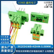 带耳双排弹簧式穿墙接线端子公母整套XK2EDGKDHM-5.08MM二进一出