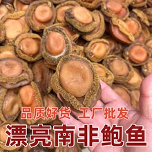 厂家批发海味干货3头4头5头6头7头8头10头12-13头南非黄鲍鱼醇香