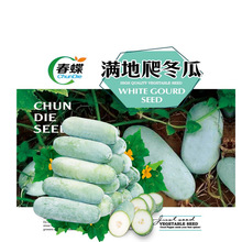 ����С���ϷN��С�����㶬�Ϯ����߲��̨ͥԺ�r�ҷNֲ�߲˷N��