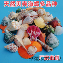 ��Ȼ����ؐ������ˮ�����쾰΢���^Ư��ƿ���diy�ֹ�����