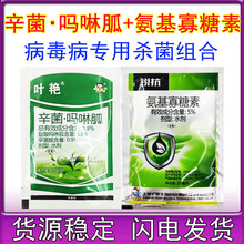 ����������ș������������rș�������}������Қ������������t��