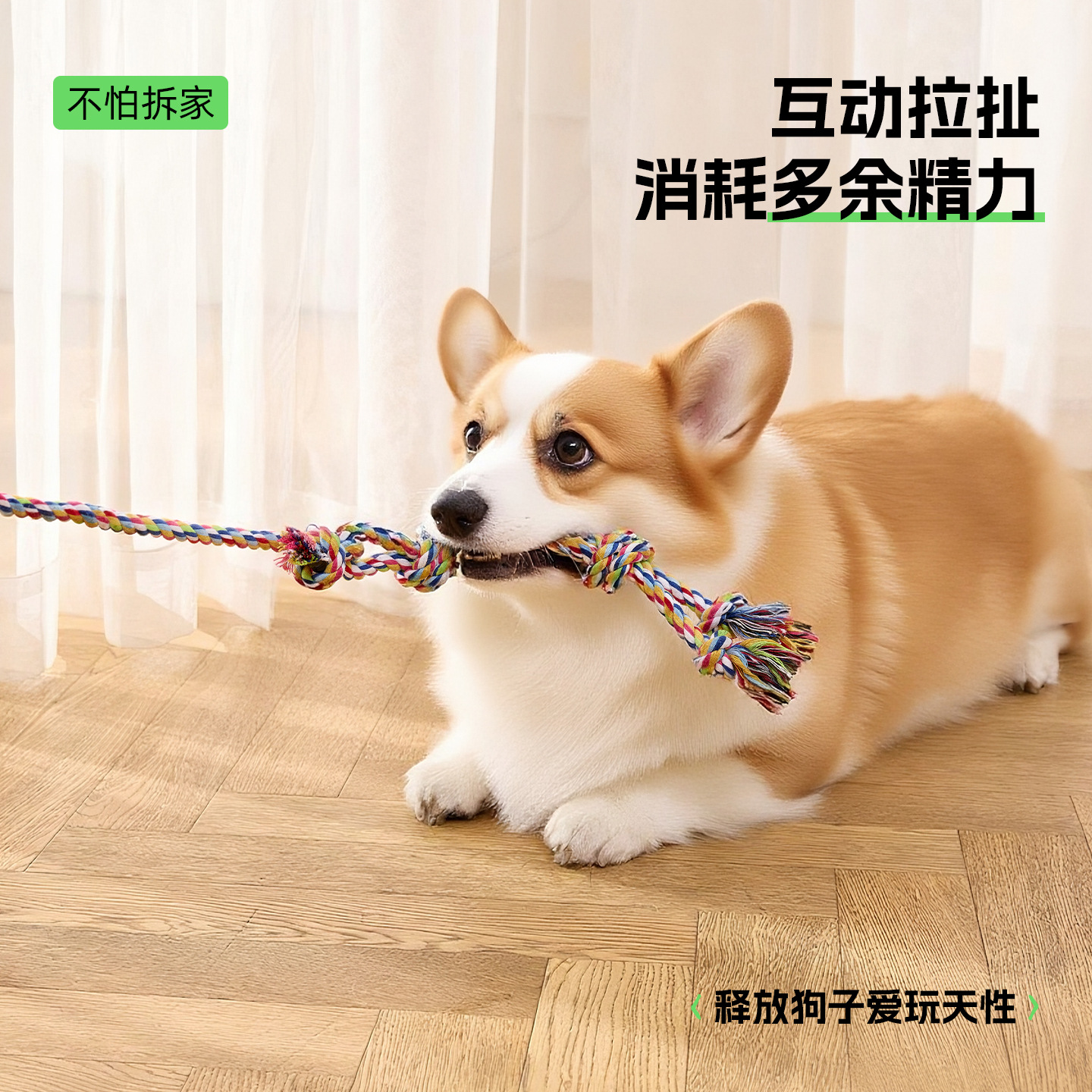 Nuevo juguete para perros, palo divertido para perros, juguete para perros, palo divertido para perros, palo divertido para gatos, palo de entrenamiento para mascotas, explosión de comercio exterior