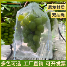 双抽绳尼龙水果套袋果实网袋番茄葡萄草莓防虫防鸟保护袋透气网套