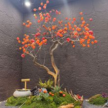 �������Ә��S�Ƶ���ù��ՙ�������b��쾰��ľ���ӹ���