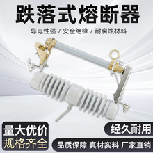 户外高压跌落式熔断器保险丝  10kvRW12-15/100-200A保险令克开关