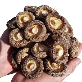 С�㹽��؛����Ģ���������r�r�����خa���鹽���X��񹽸���