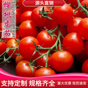 ���ҷ������t���N�Ӿ��^�߹����׻��ļ�ͥԺ�������̨�@ˇ����