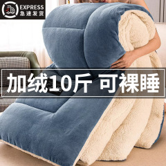 越冬用羊毛毛布、厚手綿毛布、秋冬用ミルクベルベット毛布、学生寮向け