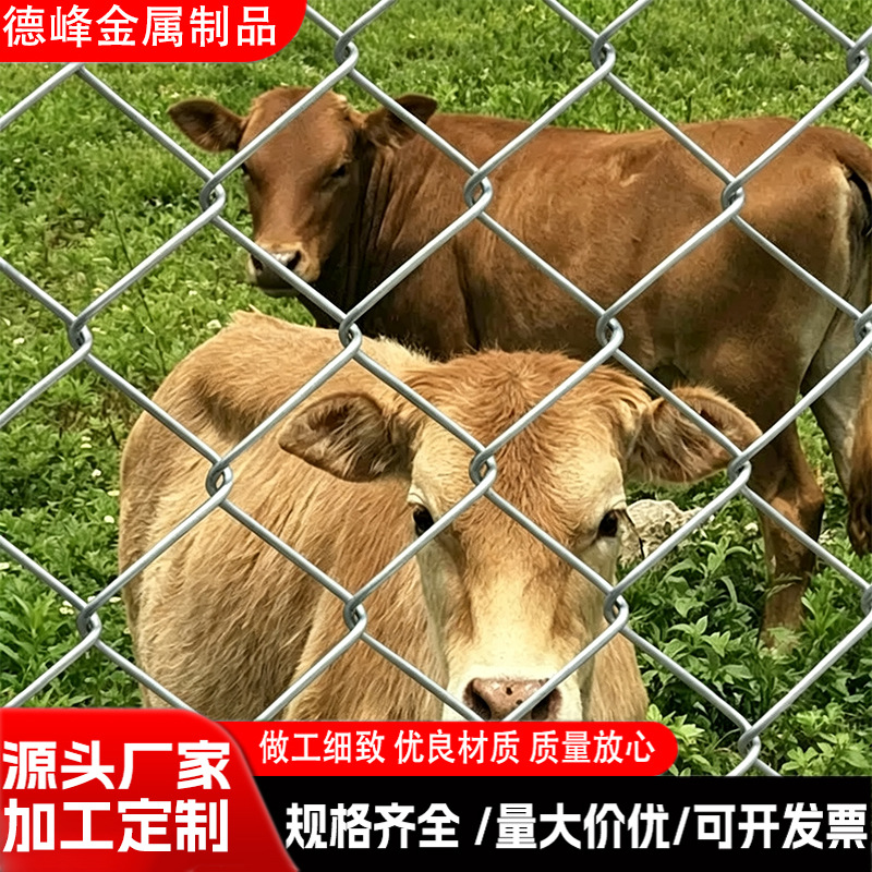 热镀锌浸塑勾花网养殖网编织网体育场围栏隔离网体育场专用