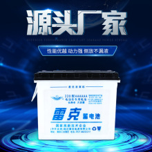 雷克220AAAAA管式水电池大容量铅酸耐用可充电电瓶电动电动车专用