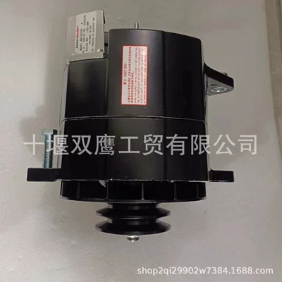 Supplying Petrolai 8Sc3200V Alternator, 24 V 150A for Use in Passenger Vehicles