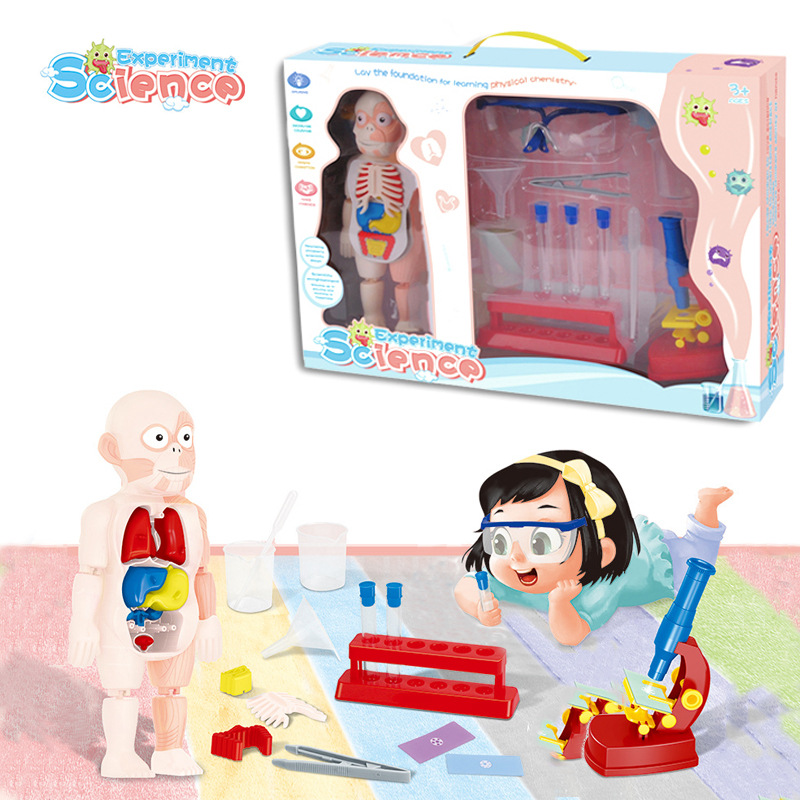 Nuevos niños Qizhi órgano humano modelo STEM ciencia y educación juguete DIY microscopio experimento científico traje
