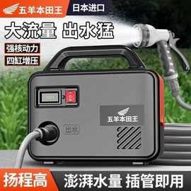 浇菜神器浇水机充电式抽水泵农村用菜地灌溉家用自动户外浇地神器