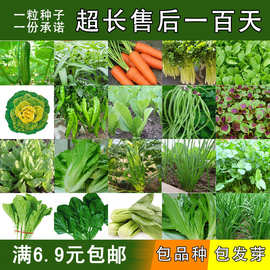 22种蔬菜种子任选 阳台种菜四季播菜籽 秋冬季种菜 任意包邮