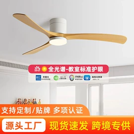 风扇灯;吊扇