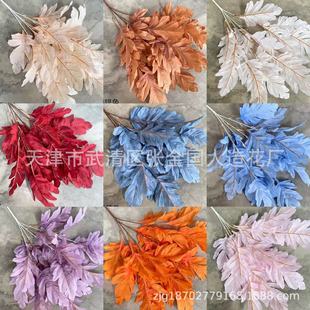 ��c���滨������ȸ�ɻ����~��Y�õ��Ŵ��·���廨���������~��