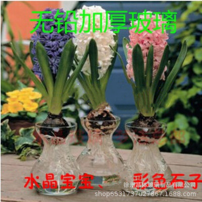 Hyacinth hydroponic glass vase daffodil plant container simple transparent vase flower arrangement home decoration
