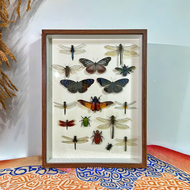 3D Hollow Photo Frame 7.5cm Deep for DIY Display of Dried Flowers, Butterflies, and Insect Specimens, Self-Assembly Empty Frame 3D Hollow Photo Frame 7.5cm Deep for DIY Display of Dried Flowers, Butterflies, and Insect Specimens, Self-Assembly Empty Frame