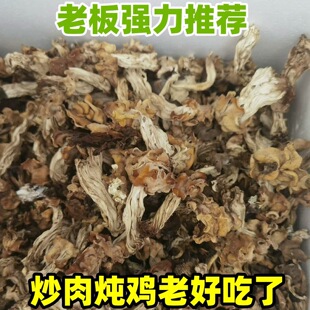 �|����Ұ��ľ��Ģ��؛�o���Ӹ���Ģ����Ģ��Ʒ�خaС�u���㹽���]