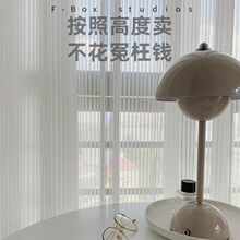 网红百叶纱透光不透人卧室改造客厅阳台窗帘防勾丝耐磨免打孔纱帘