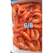 ���l���r6/8Ҏ����a���r������r���r���r�����Ƶ���Ʒ���r