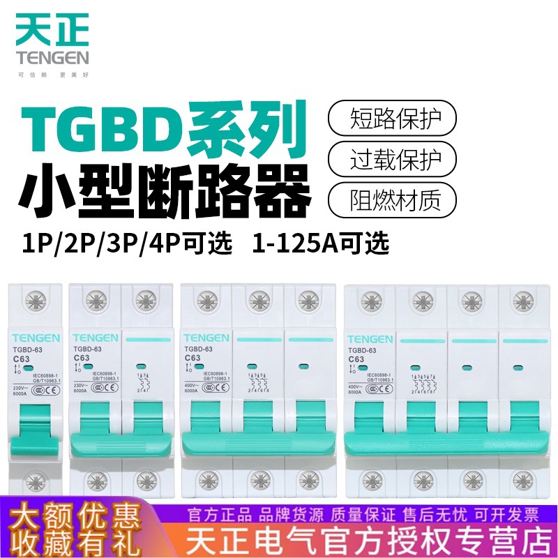 Tianzheng TGBD - 63 interruptor de aire 2p interruptor 1p hogar 3P trifásico 32a pequeño disyuntor 100a vacío image 1