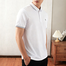 ˿���޶���POLO���к������ļ�ײɫ��������T������2W267���̹���