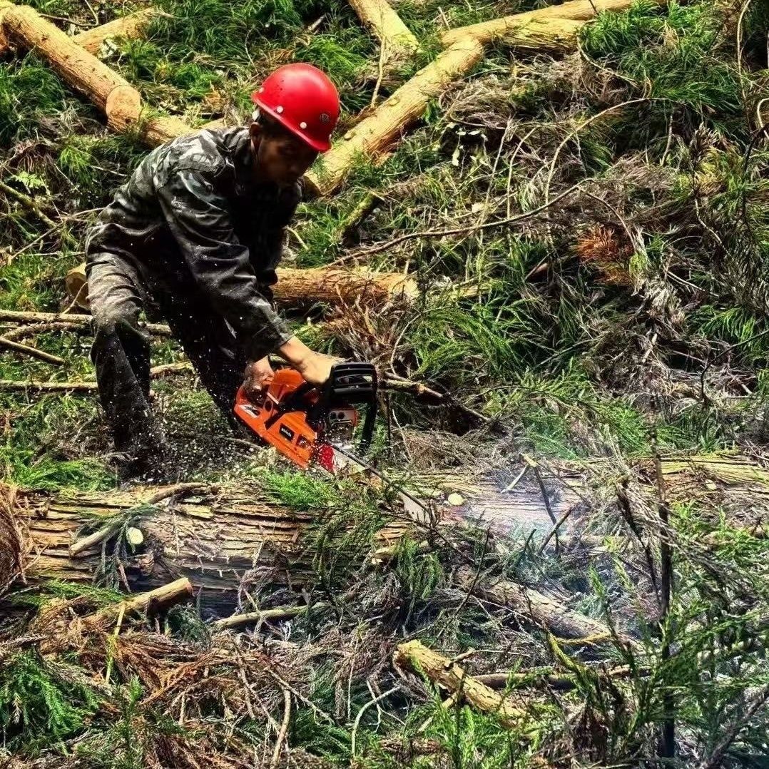 52CC大功率汽油锯20寸园林机械工具高品质伐木锯零件油锯大全配件
