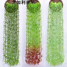 1.15�׷����ȼ����b��ٗl �ڒ��cֲ���ė����ٴ������l