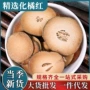 化州中药材