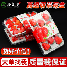 һ����͸����ݮ���b�Y�� ���f������ݮ�������ރ��rpet���ܰ��b��